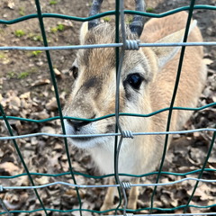 23-02-13 14-02-49 4208